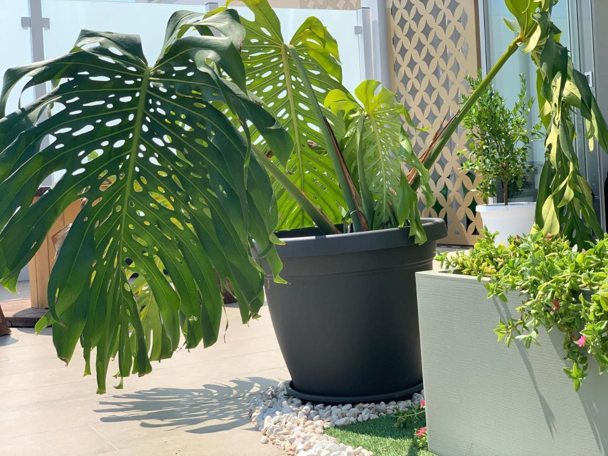 Dalu Suite Terrace Bari Eksteriør billede